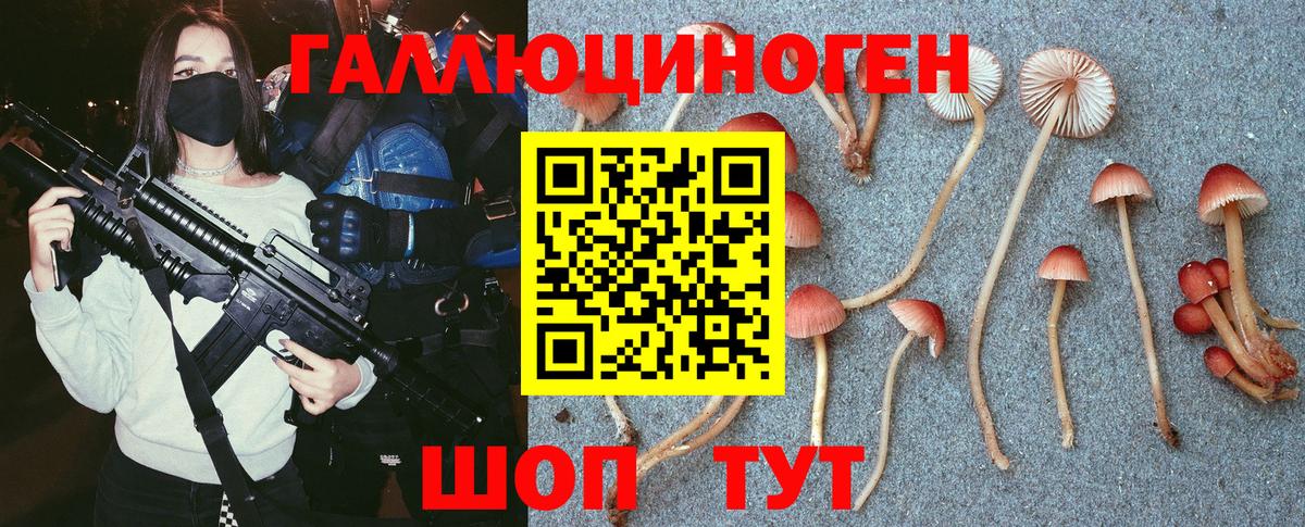 Псилоцибиновые грибы MAGIC MUSHROOMS  Вход с VPN  Александров  Псилоцибиновые грибы мицелий 