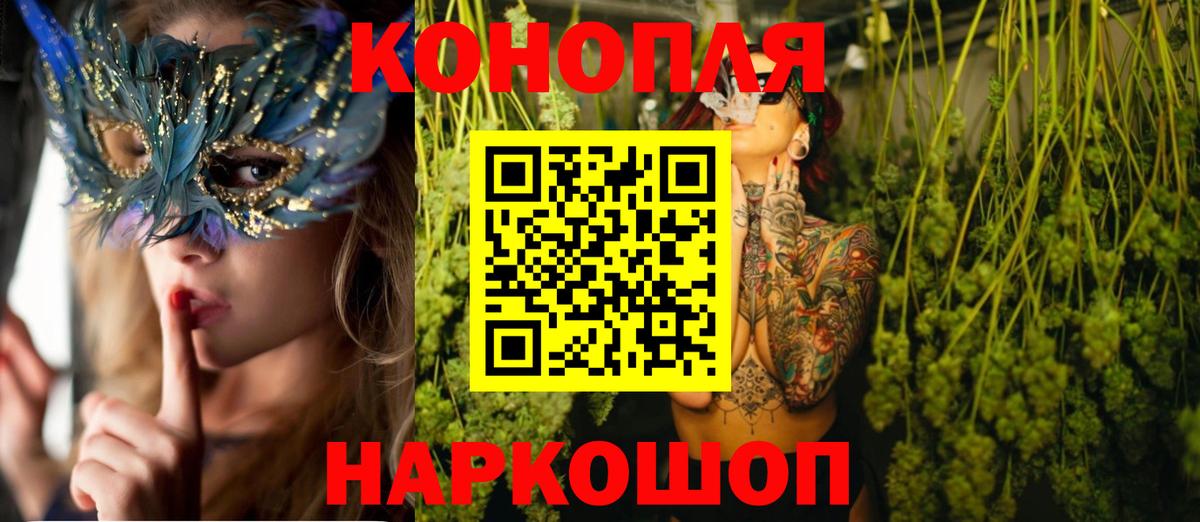 Шишки марихуана планчик Александров
